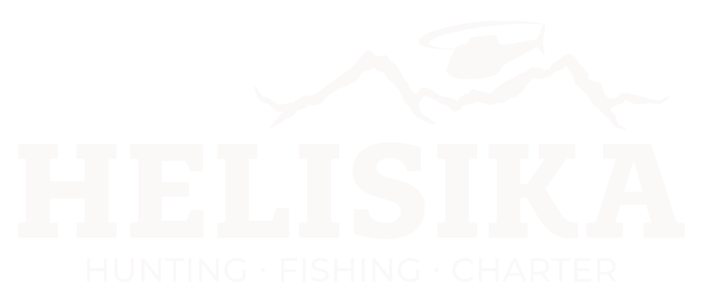 Helisika logo